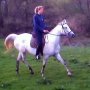 SK Po�onina