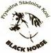Stadnina Koni BLACK HORSE