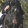 KKJK, 23.10.2005