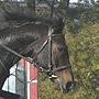 KKJK, 23.10.2005