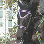 KKJK, 23.10.2005