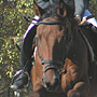 KKJK, 23.10.2005