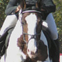 KKJK, 23.10.2005