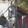 KKJK, 23.10.2005