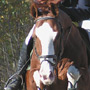 KKJK, 23.10.2005