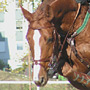 KKJK, 23.10.2005