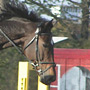 KKJK, 23.10.2005