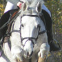 KKJK, 23.10.2005