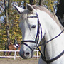 KKJK, 23.10.2005